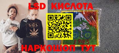 индика Кингисепп