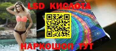 индика Кингисепп
