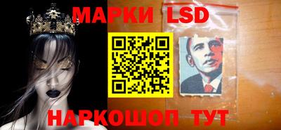 индика Кингисепп