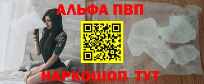 индика Кингисепп