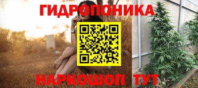 PSILOCYBIN Комсомольск-на-Амуре