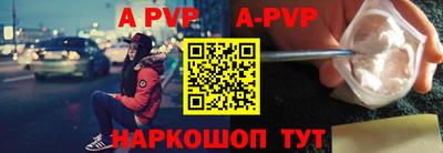 индика Кингисепп