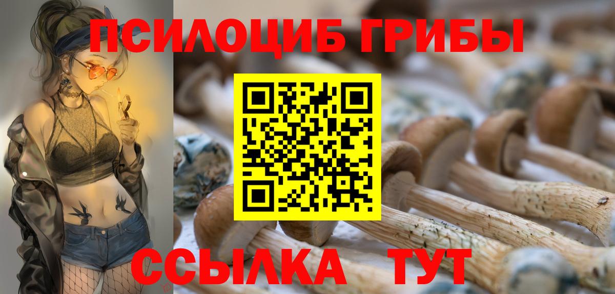 Галлюциногенные грибы мицелий Клинцы